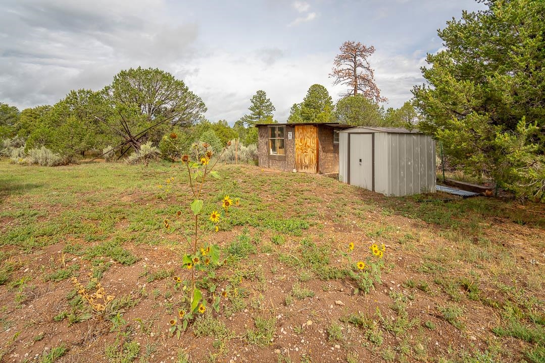 20 Calle De Golondrina S, Tres Piedras, New Mexico image 43