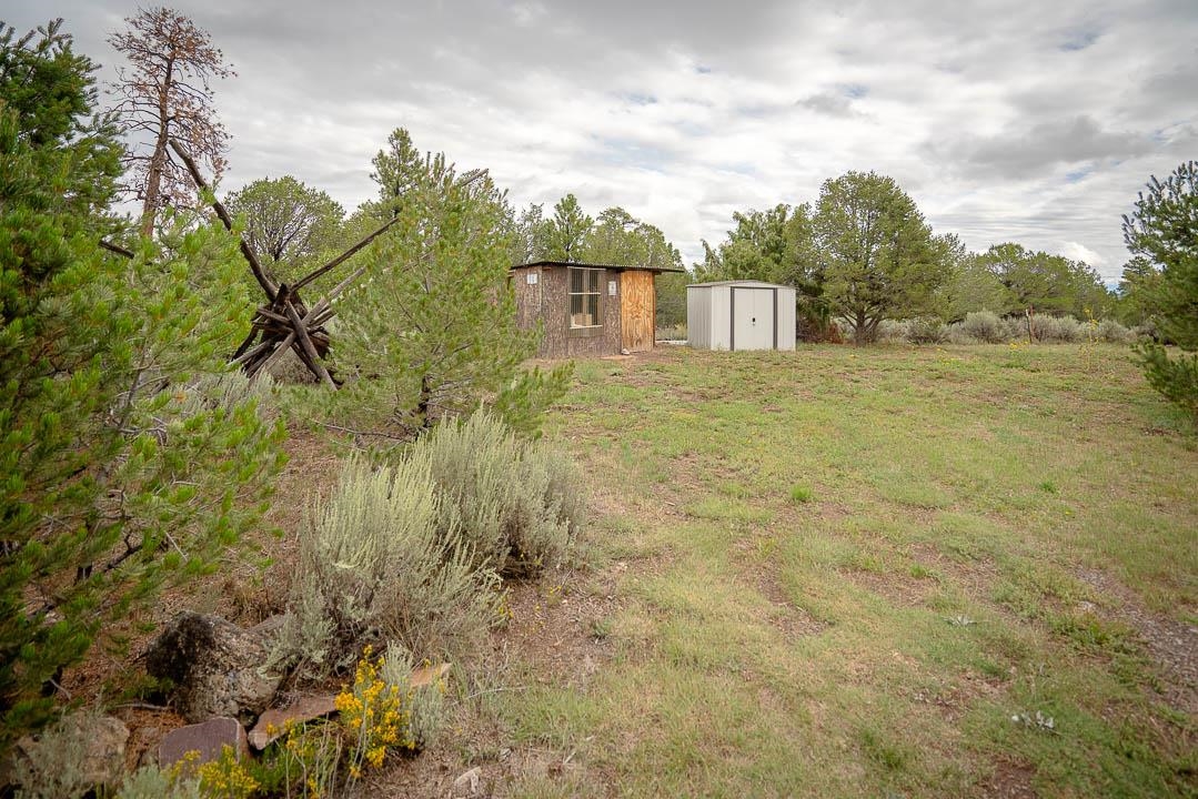 20 Calle De Golondrina S, Tres Piedras, New Mexico image 46