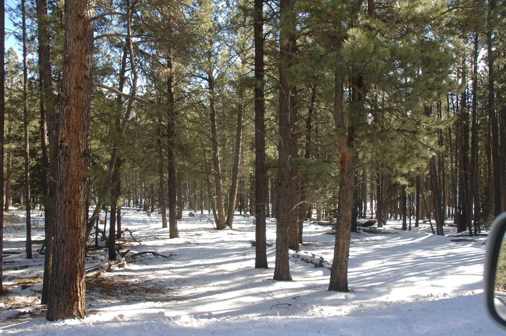 Photo of Lot 59 San Andres, Angel Fire, NM 87710 (MLS # 109691)