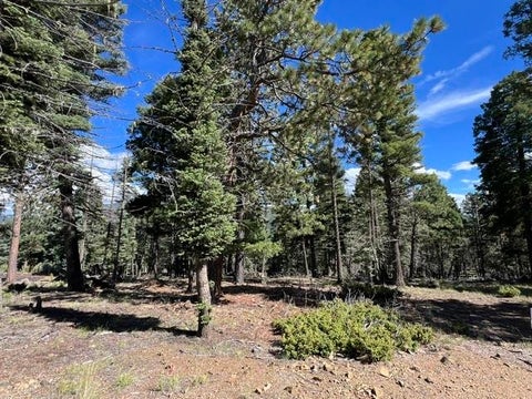 Vacant Land For Sale - TBD Cimarron Trail<br/> Angel Fire, NM 87710