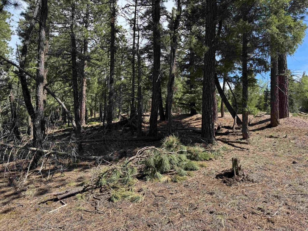 Photo of Lot 1662 El Vado Way, Angel Fire, NM 87710 (MLS # 113458)