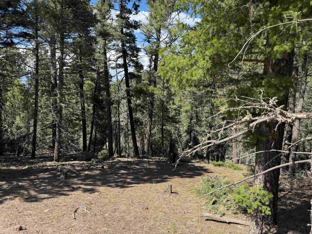 Photo of Lot 1662 El Vado Way, Angel Fire, NM 87710 (MLS # 113458)