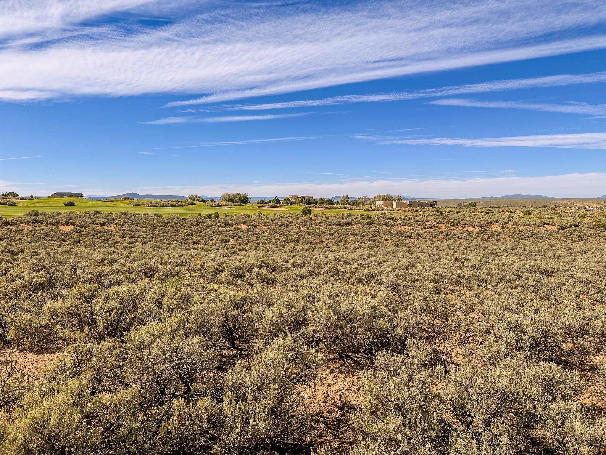 Lot 47 Baird, Ranchos de Taos, New Mexico image 23