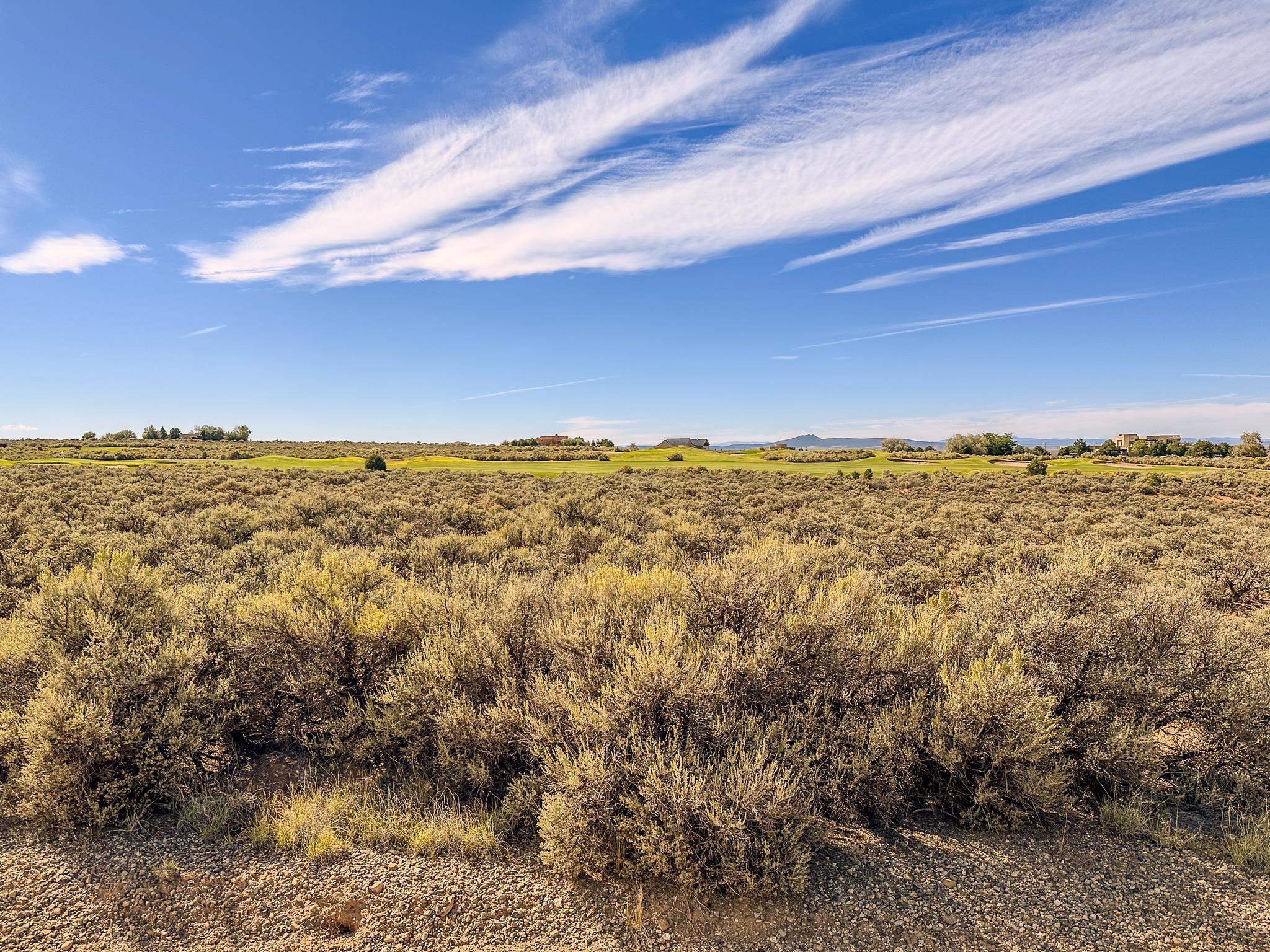 Lot 47 Baird, Ranchos de Taos, New Mexico image 16