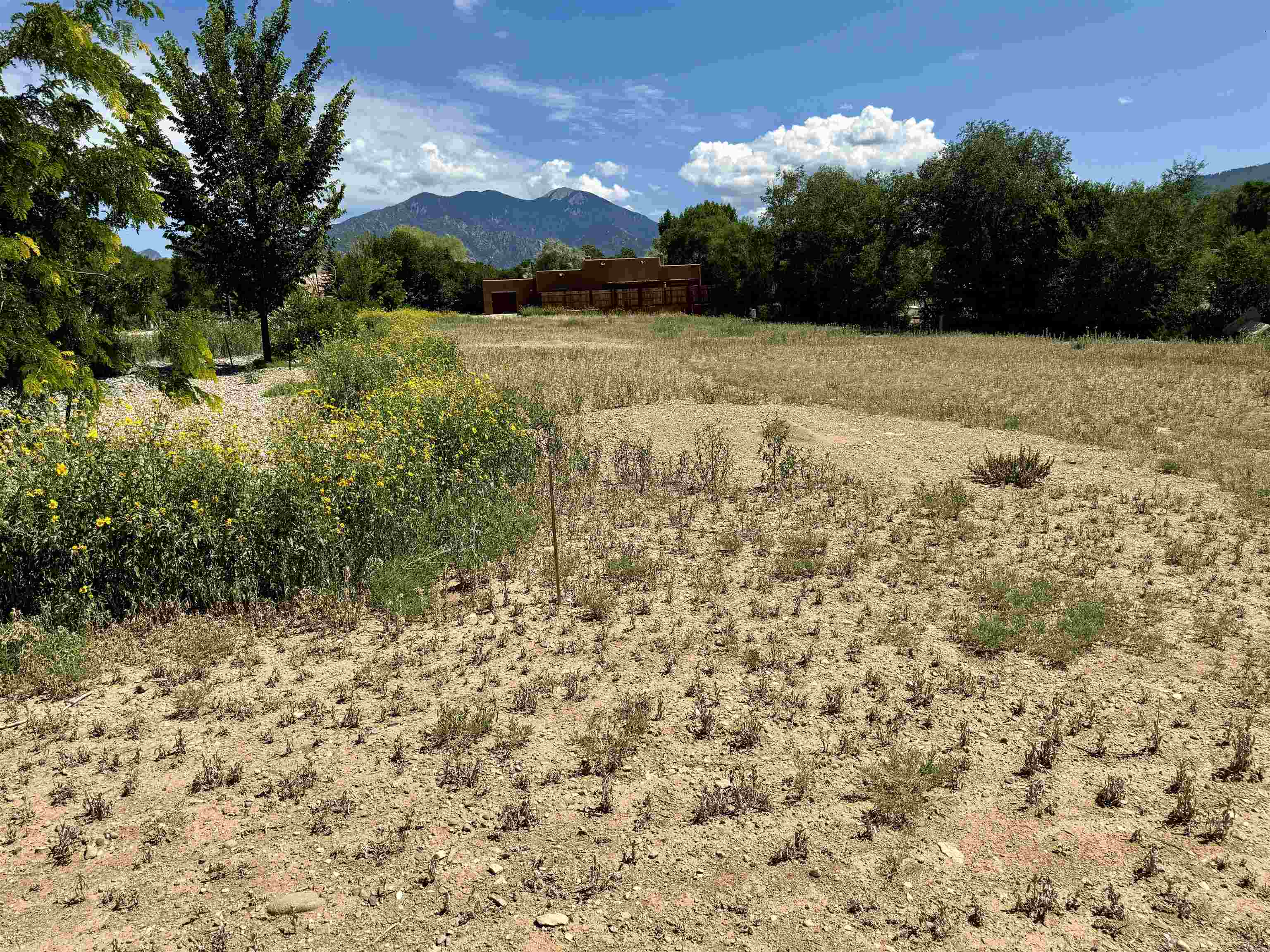 318 Pond Court, Taos, New Mexico image 2