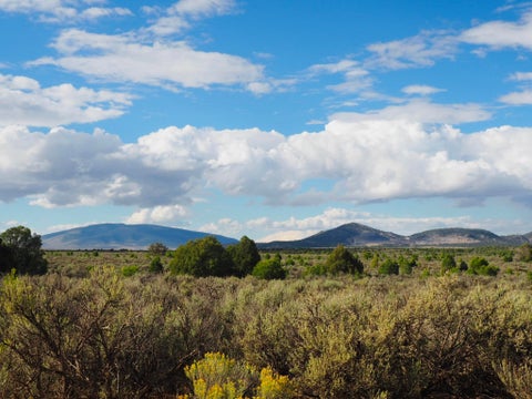 Vacant Land For Sale - TBD Us Hwy 285<br/> Tres Piedras, NM 87577