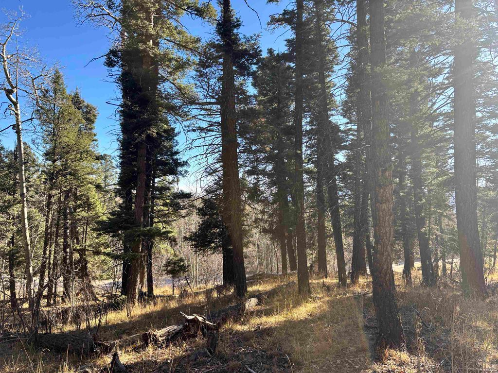 Photo of Lot 1490 Royal Ave, Angel Fire, NM 87710 (MLS # 114246)
