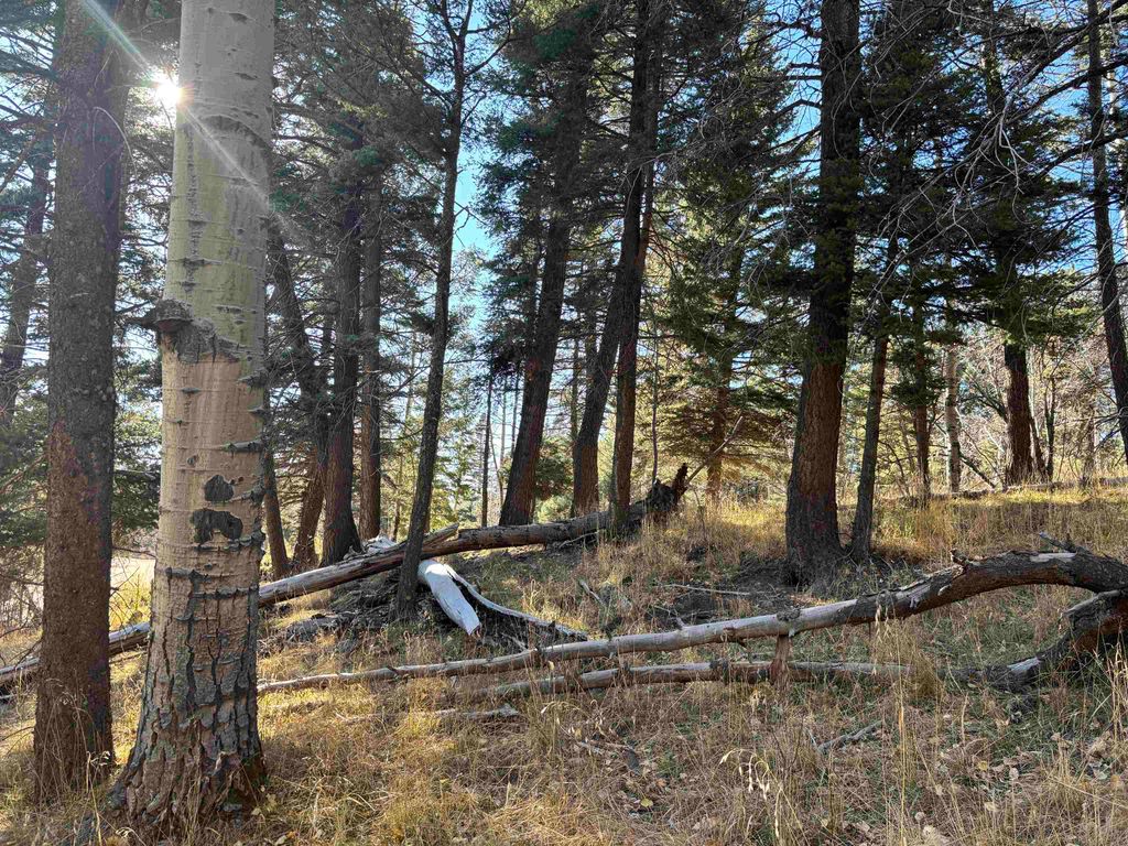 Photo of Lot 1490 Royal Ave, Angel Fire, NM 87710 (MLS # 114246)