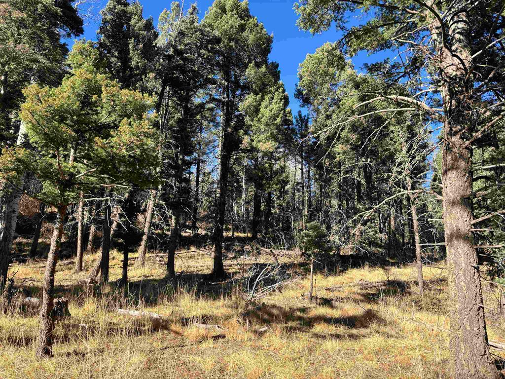 Photo of Lot 1490 Royal Ave, Angel Fire, NM 87710 (MLS # 114246)