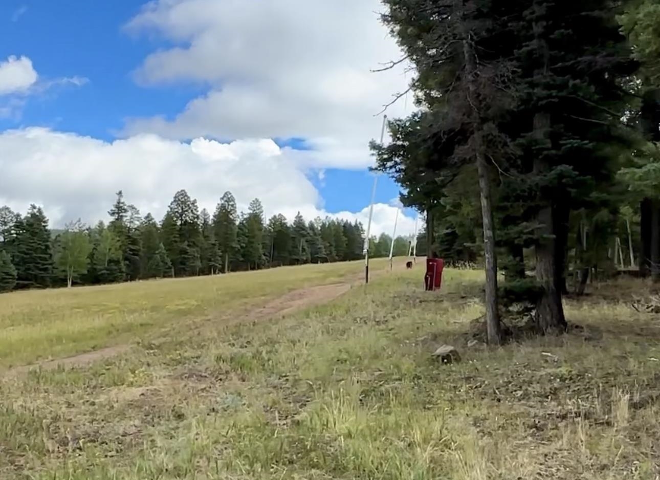 TBD El Camino Real Lot 218 Way, Angel Fire, Florida image 10