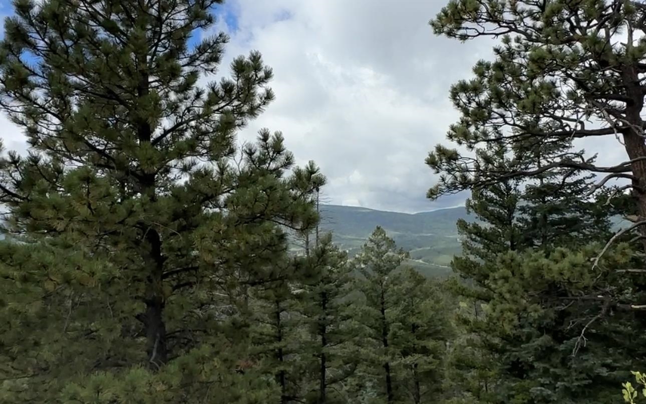 TBD El Camino Real Lot 218 Way, Angel Fire, Florida image 7