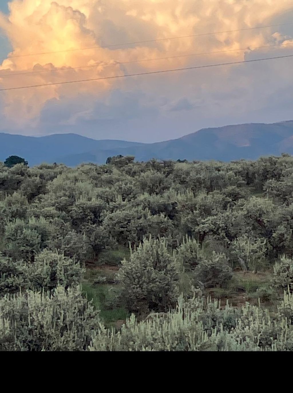 Photo of TBD Thomas H Romero, Ranchos de Taos, NM 87557 (MLS # 113788)