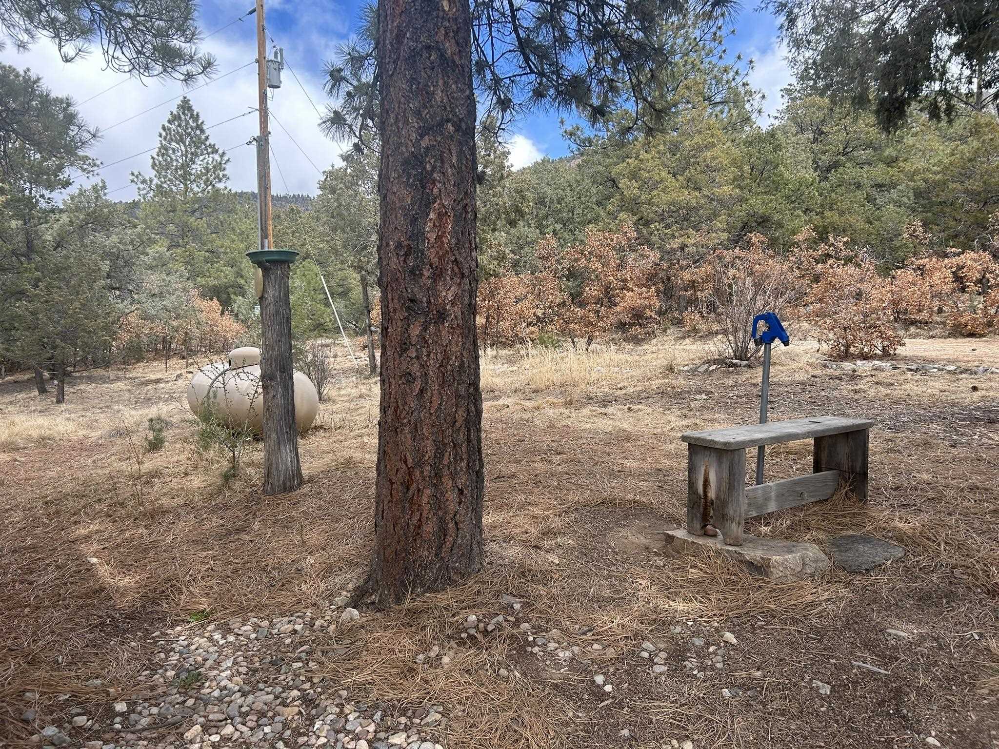 50 Echo Forest Road, Questa, New Mexico image 19