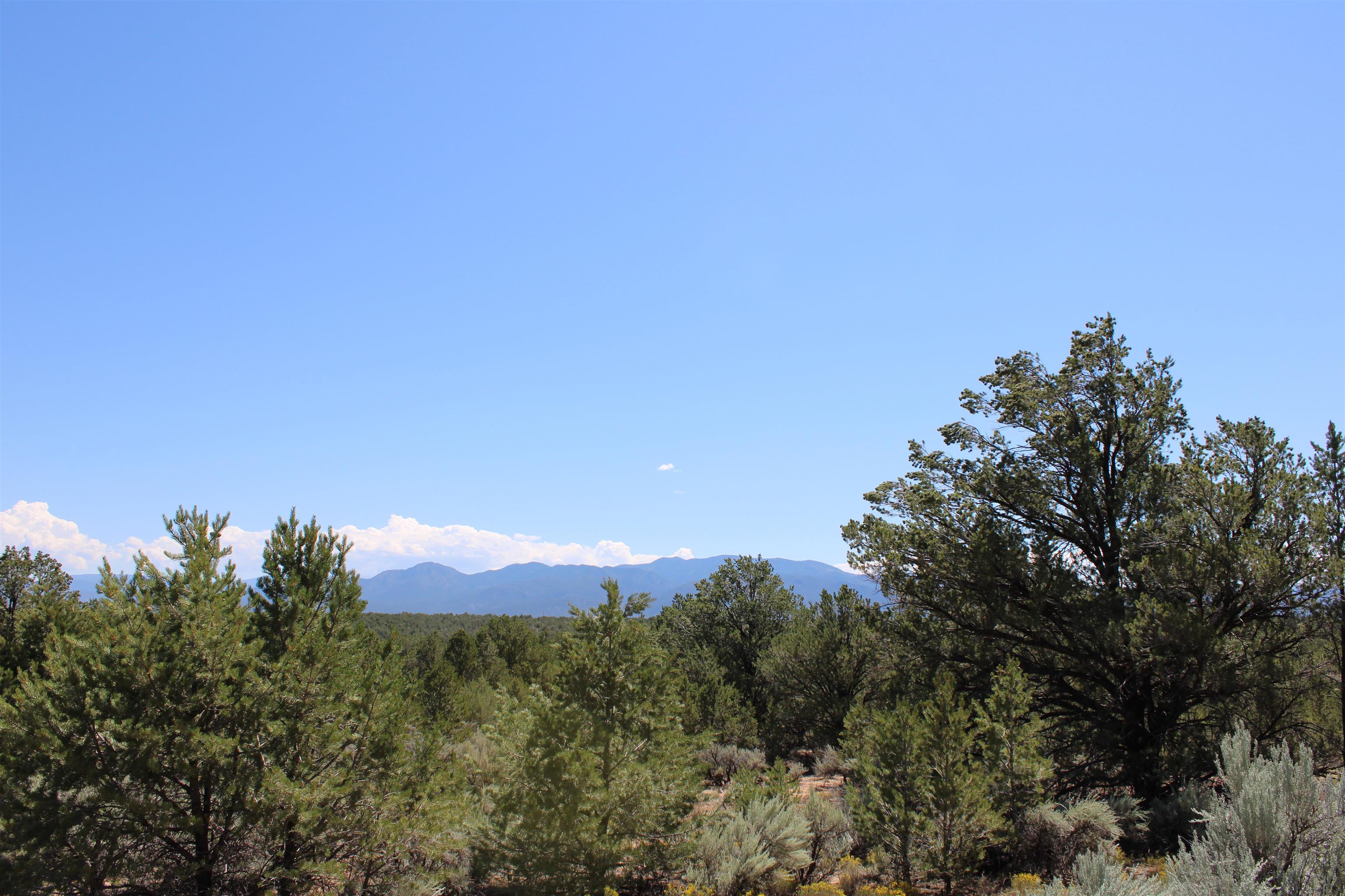 7 Freedom Rd, Carson, New Mexico image 38