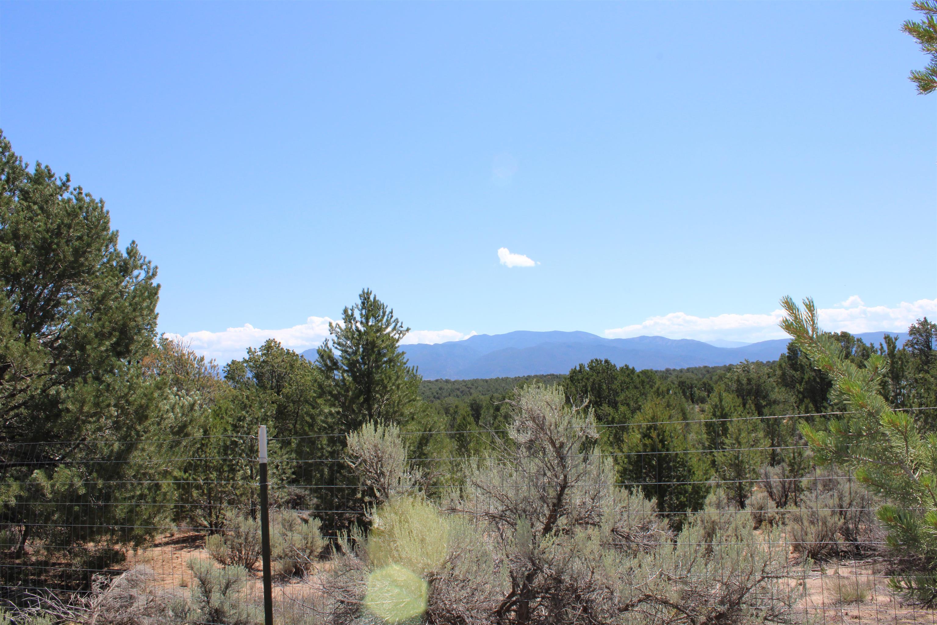 7 Freedom Rd, Carson, New Mexico image 49
