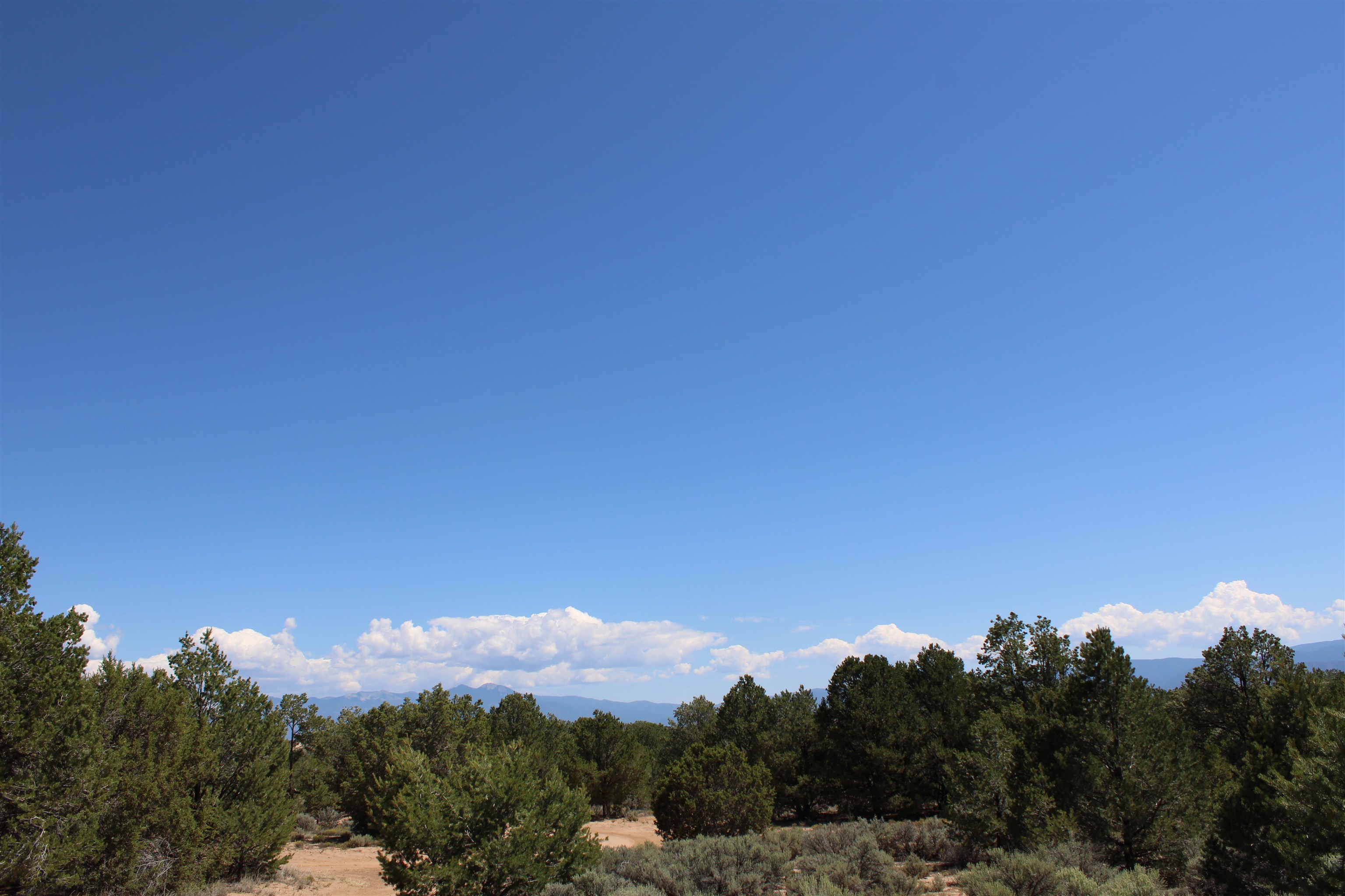 7 Freedom Rd, Carson, New Mexico image 39