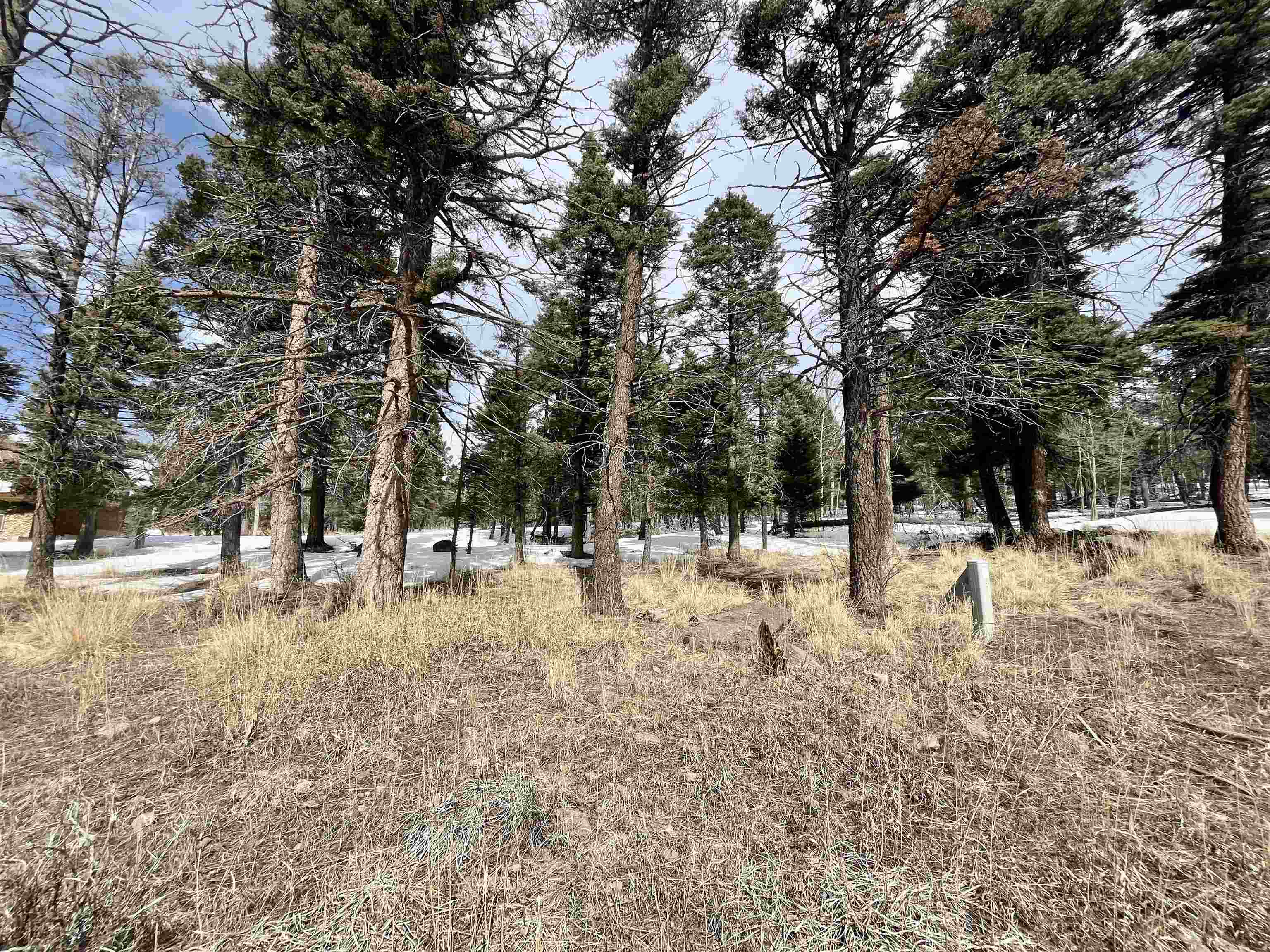 Lot 1461 Cheerful Way, Angel Fire, New Mexico image 4