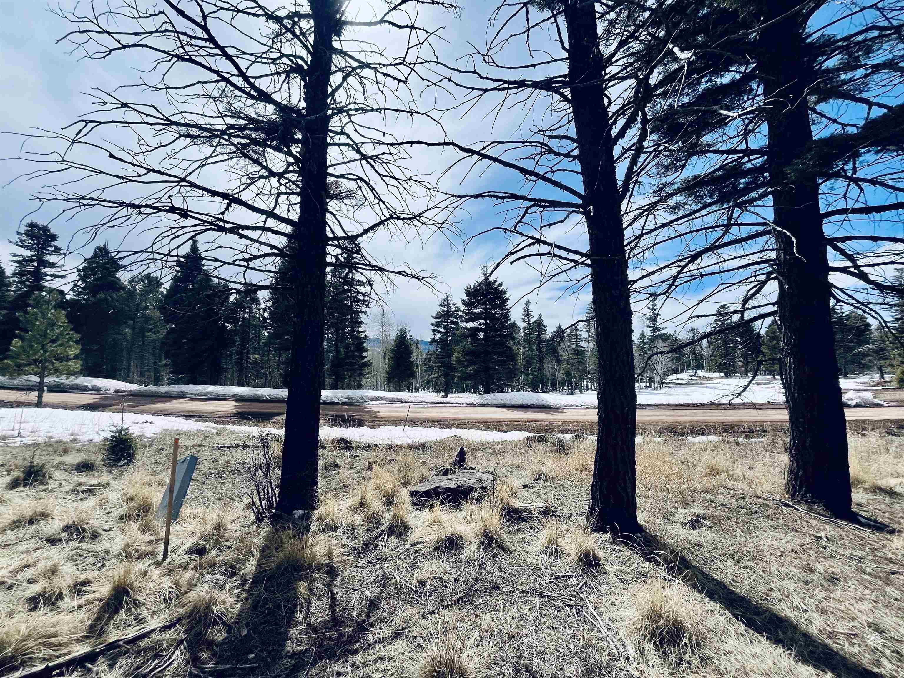 Lot 1461 Cheerful Way, Angel Fire, New Mexico image 2