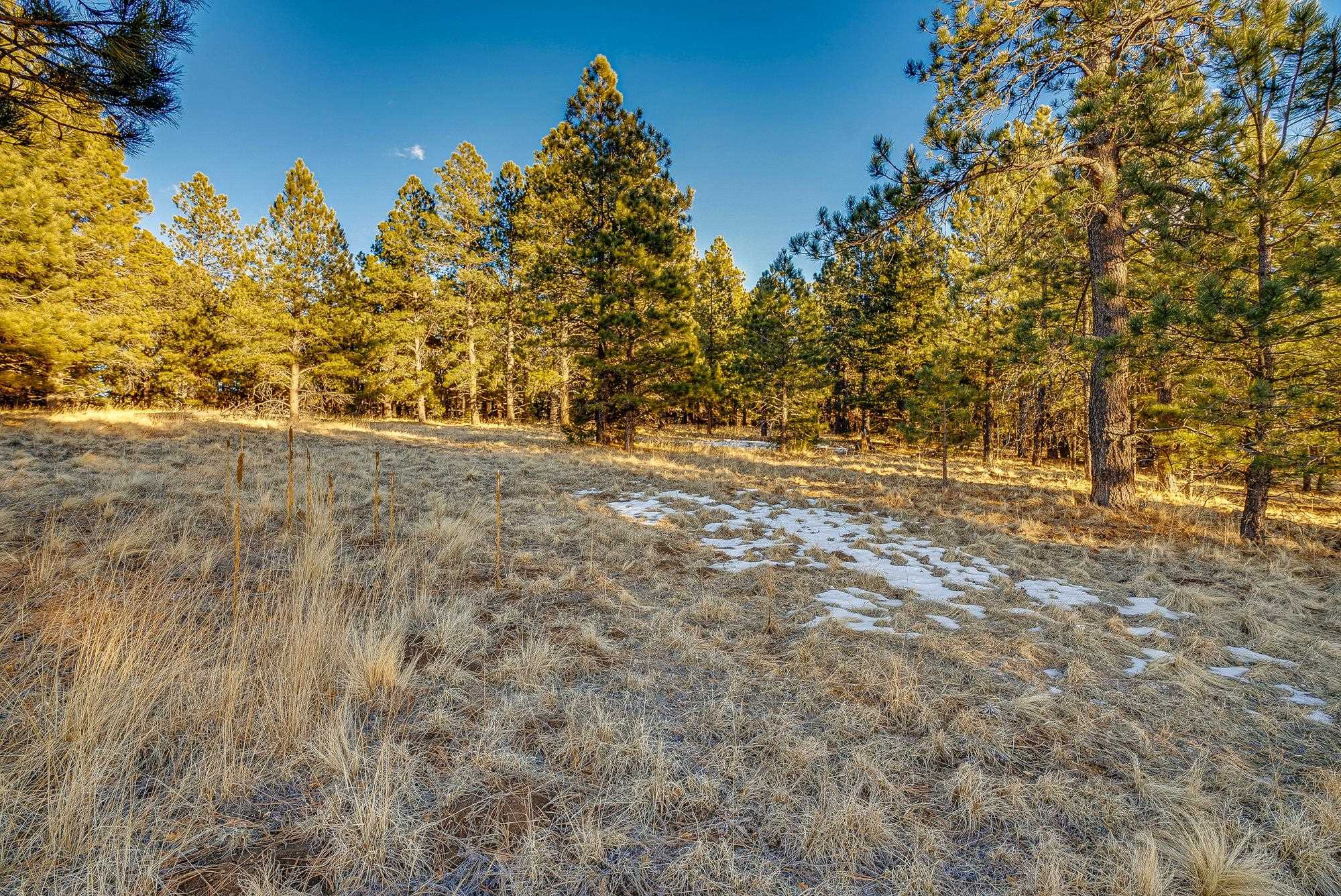 66 Mora Ranch Rd, Angel Fire, New Mexico image 10