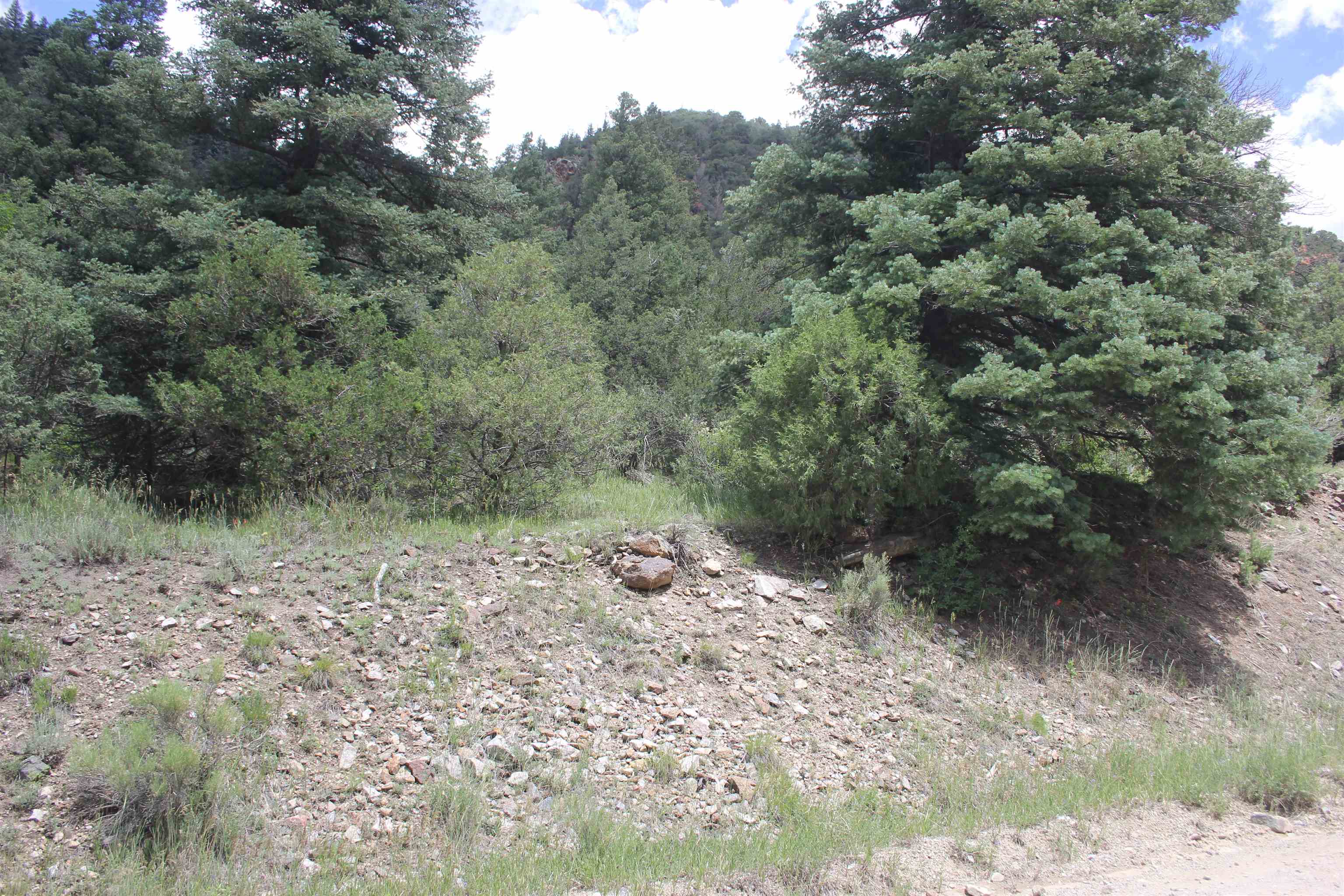 12 Acres Cabresto Canyon, Questa, New Mexico image 3