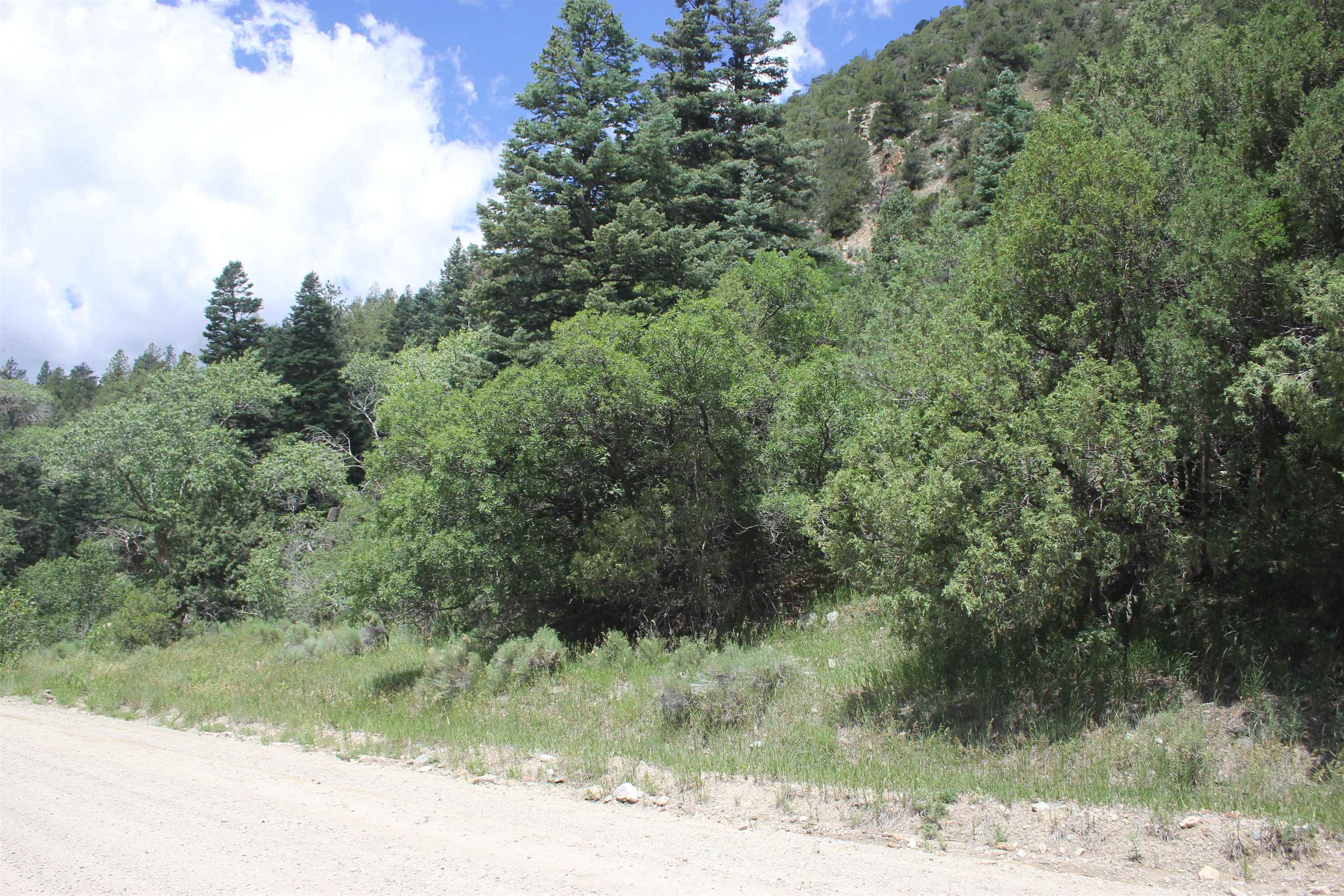 12 Acres Cabresto Canyon, Questa, New Mexico image 2