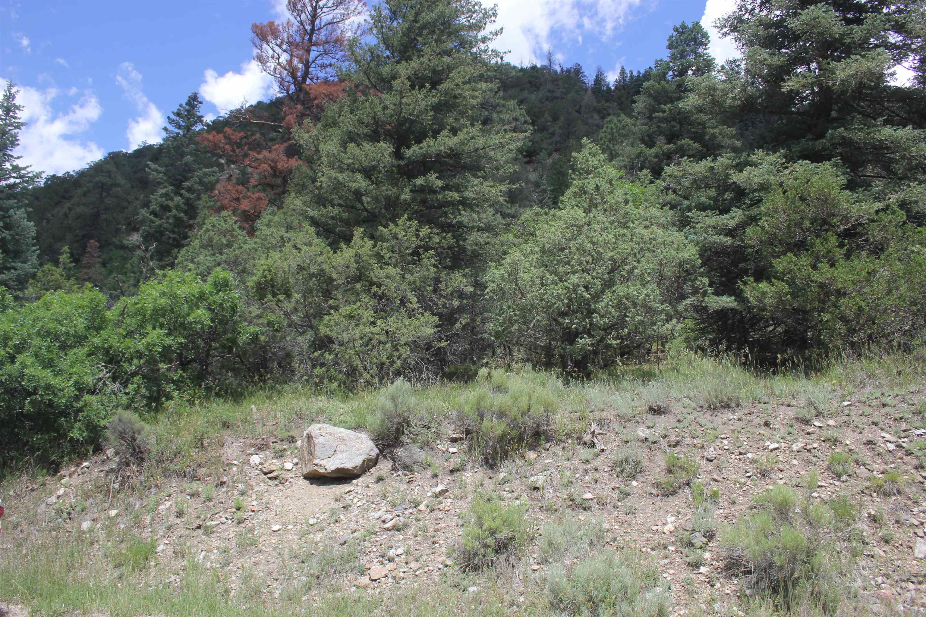 12 Acres Cabresto Canyon, Questa, New Mexico image 1