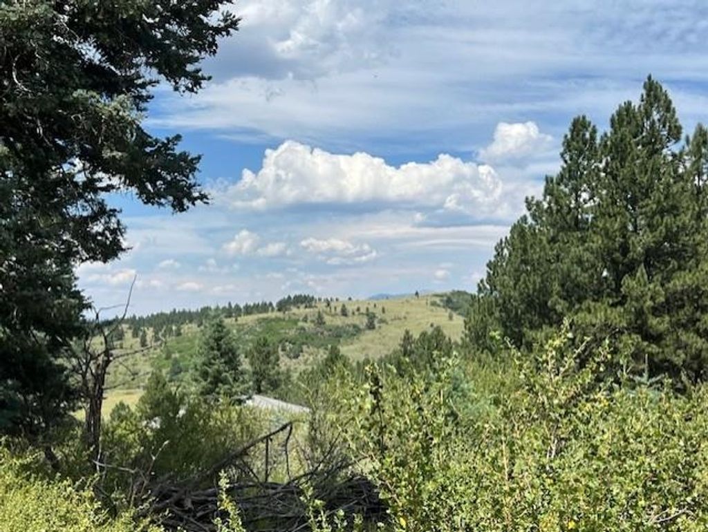 Photo of 9 Buckskin Road, Angel Fire, NM 87710 (MLS # 113844)