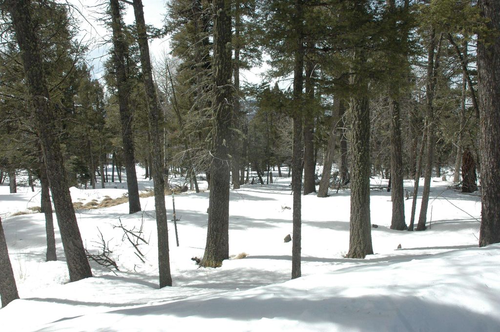 Photo of lot 1223 rainbow overlook, Angel Fire, NM 87710 (MLS # 109938)