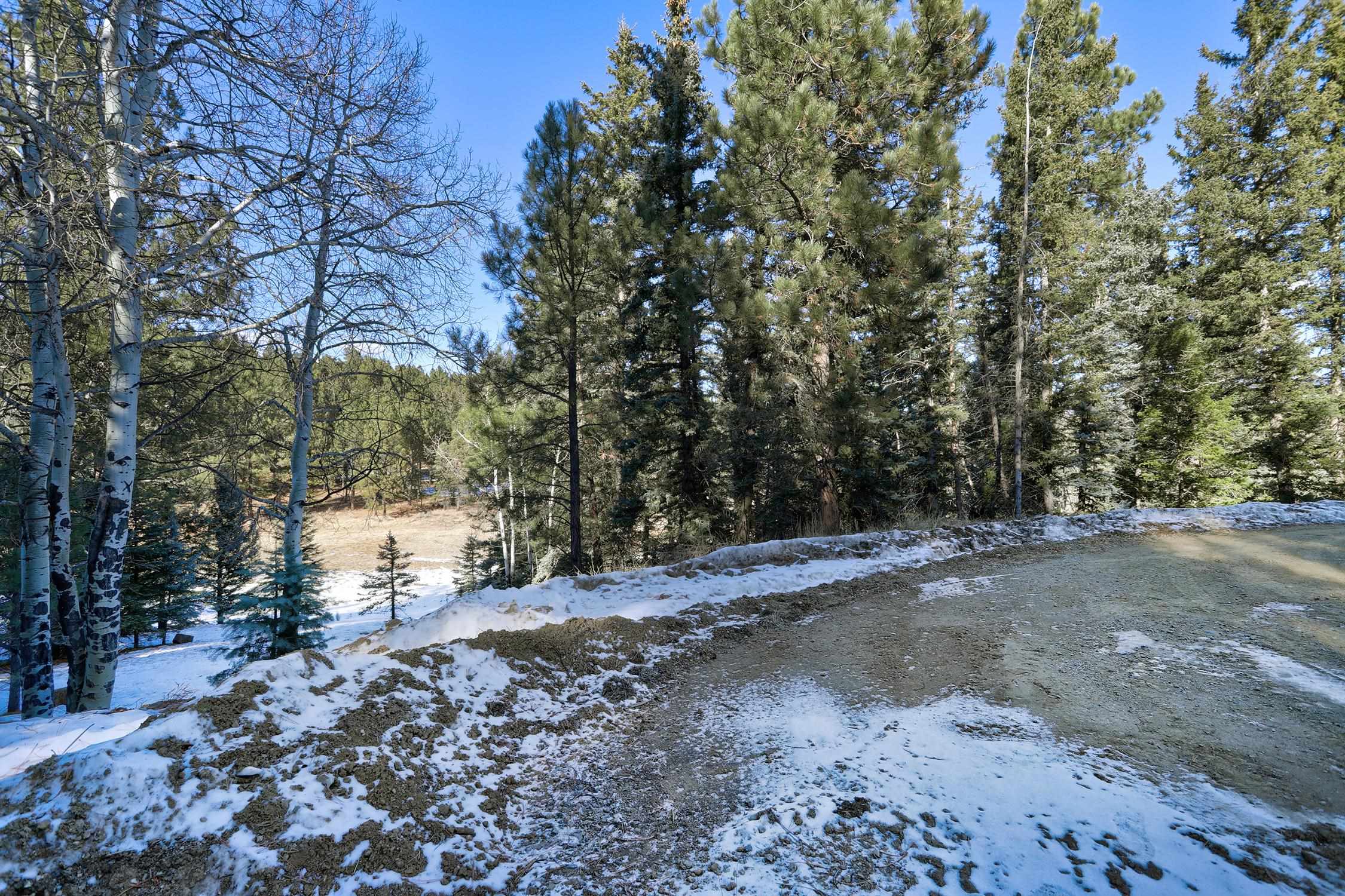 Lot 26 San Andres Terrace, Angel Fire, New Mexico image 5