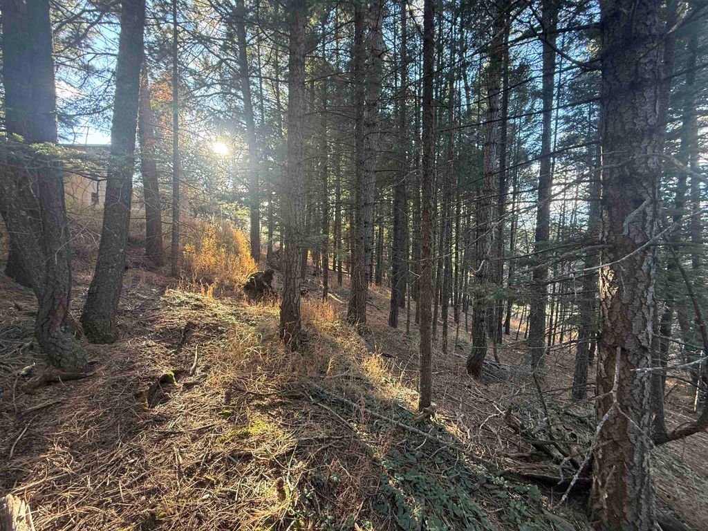 Photo of Lot 72 Mammoth Mountain Rd, Angel Fire, NM 87710 (MLS # 114306)