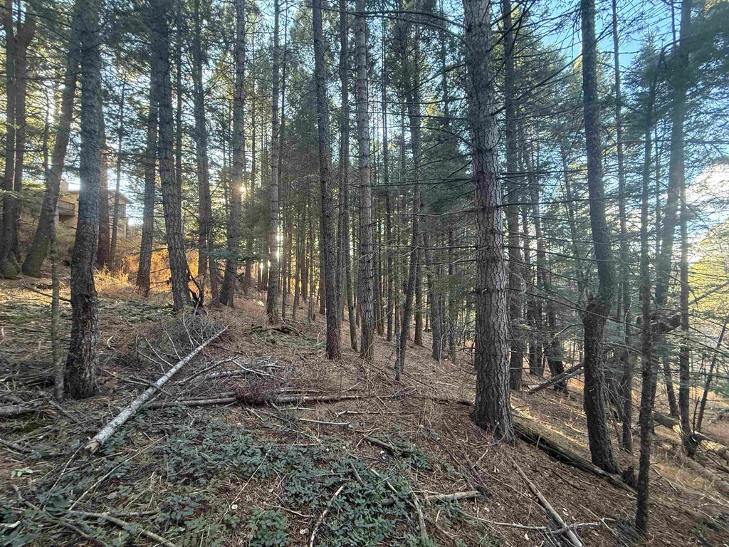 Photo of Lot 72 Mammoth Mountain Rd, Angel Fire, NM 87710 (MLS # 114306)