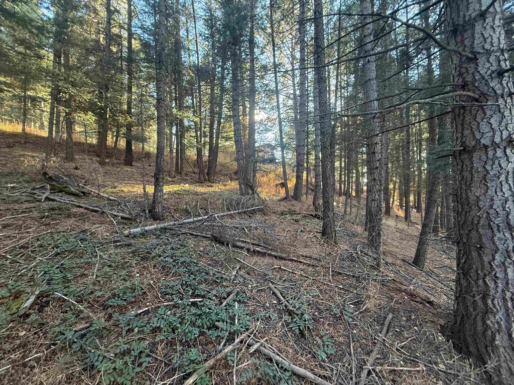 Photo of Lot 72 Mammoth Mountain Rd, Angel Fire, NM 87710 (MLS # 114306)