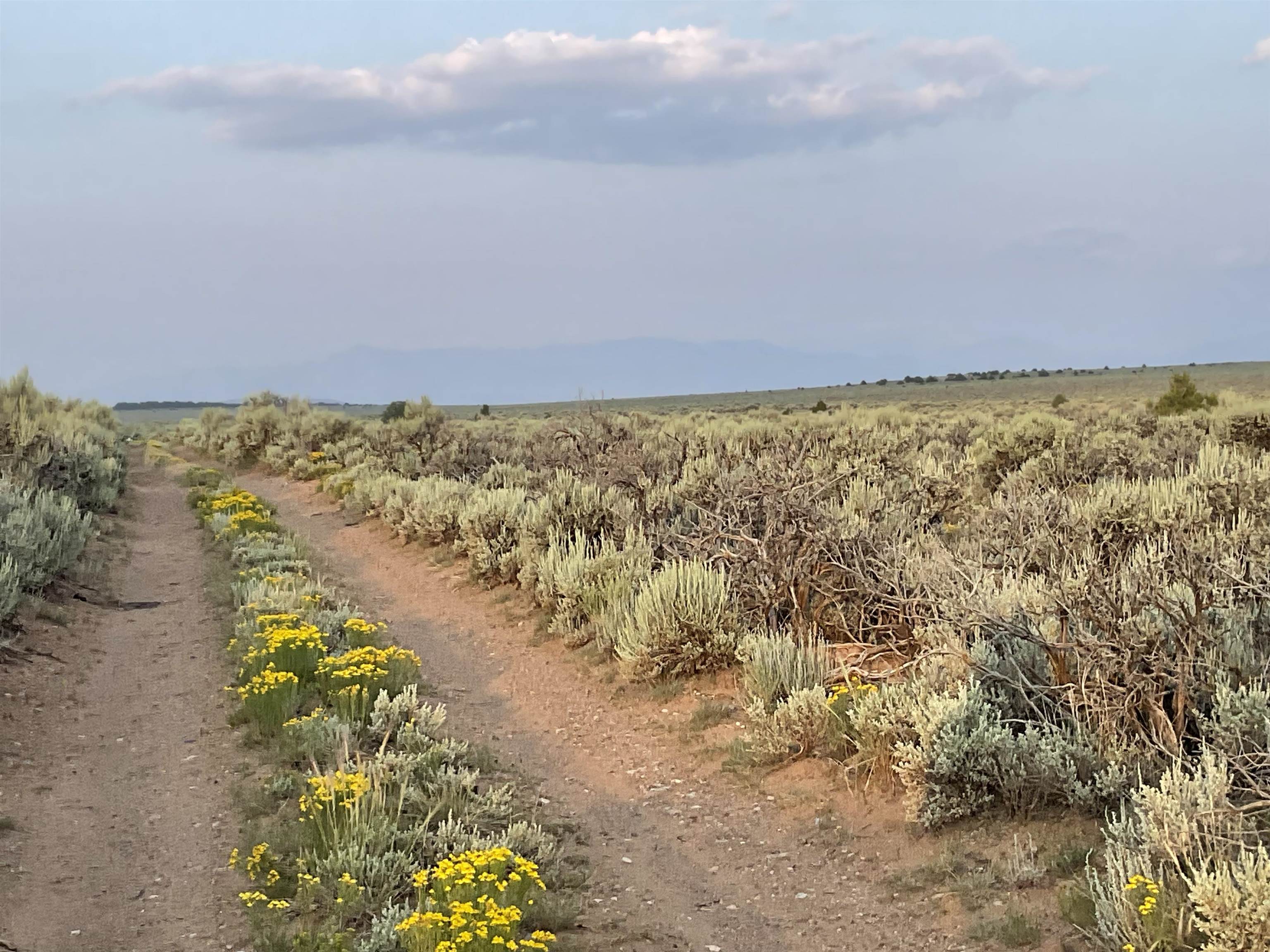 Off Hwy 285, Tres Piedras, New Mexico image 9