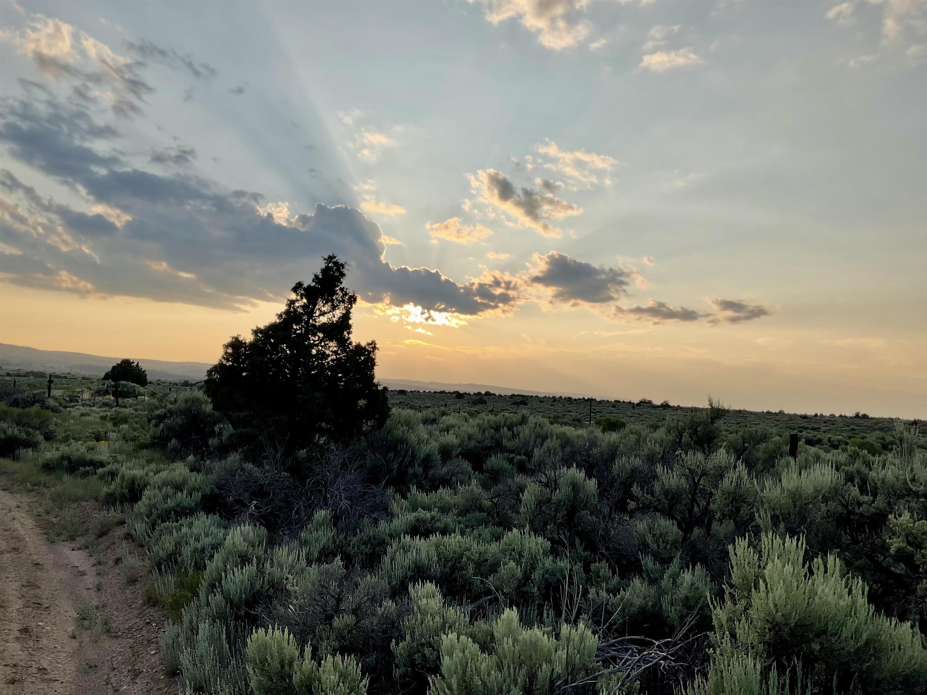 Off Hwy 285, Tres Piedras, New Mexico image 13