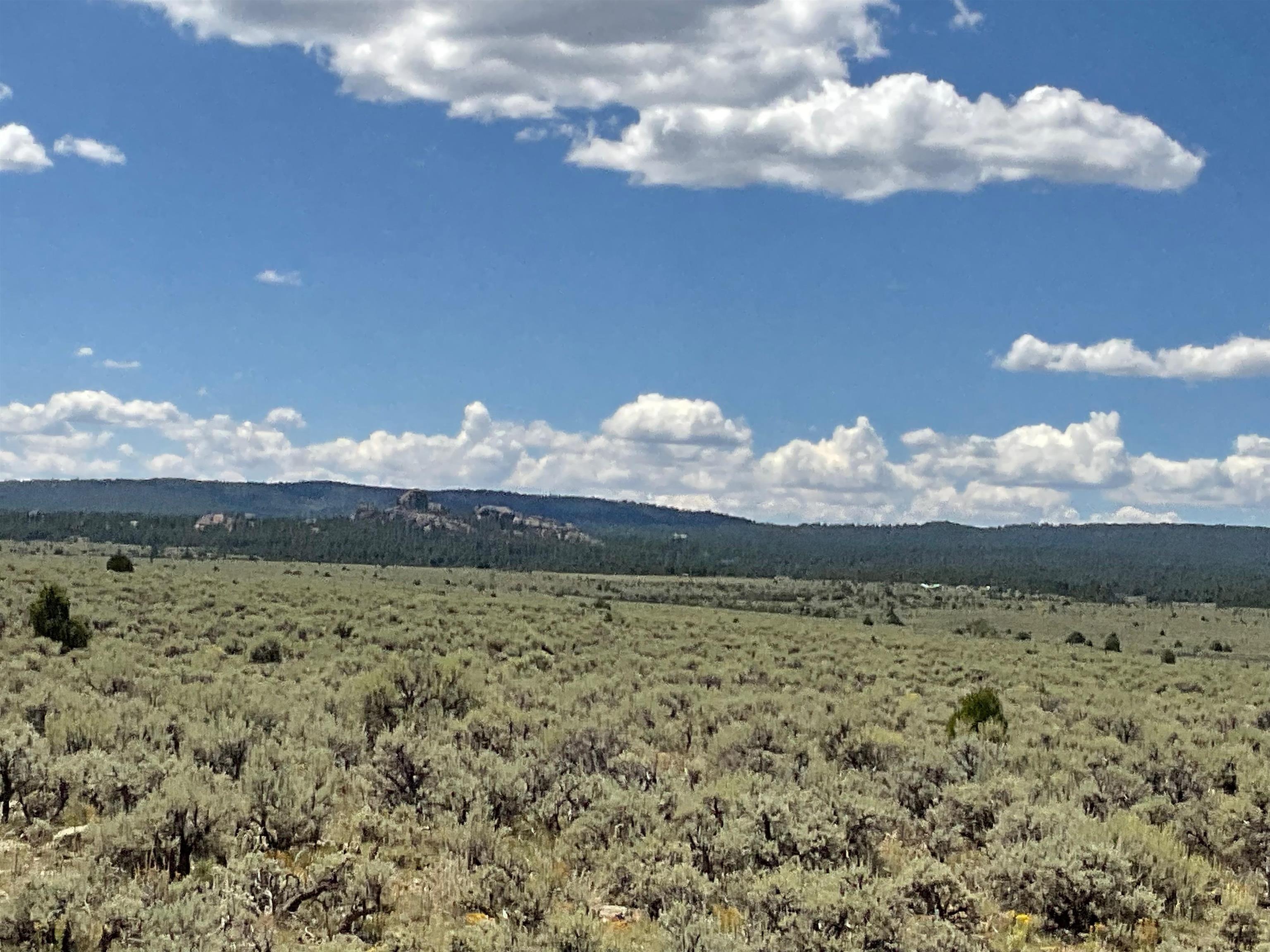 Off Hwy 285, Tres Piedras, New Mexico image 8