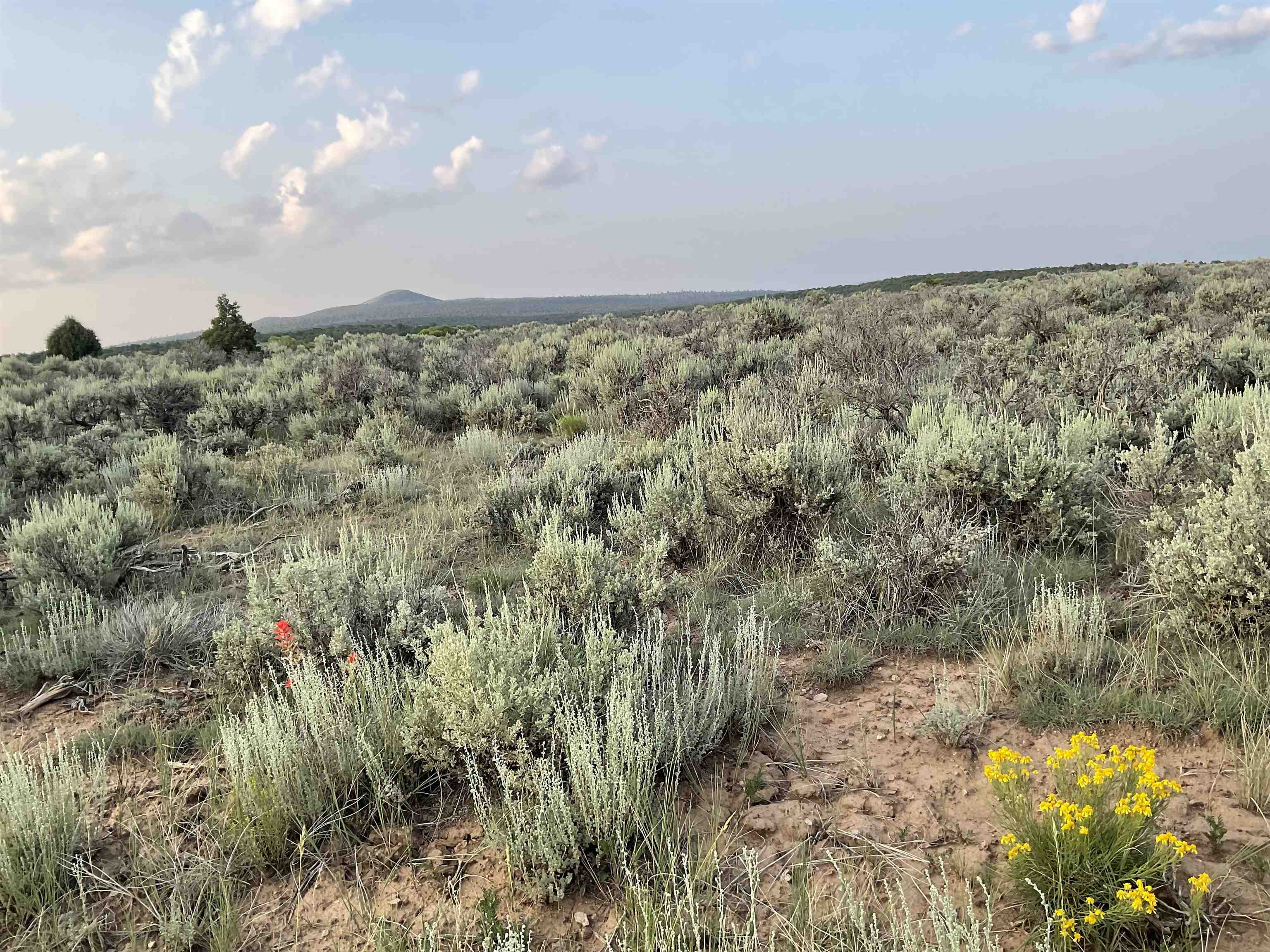 Off Hwy 285, Tres Piedras, New Mexico image 12