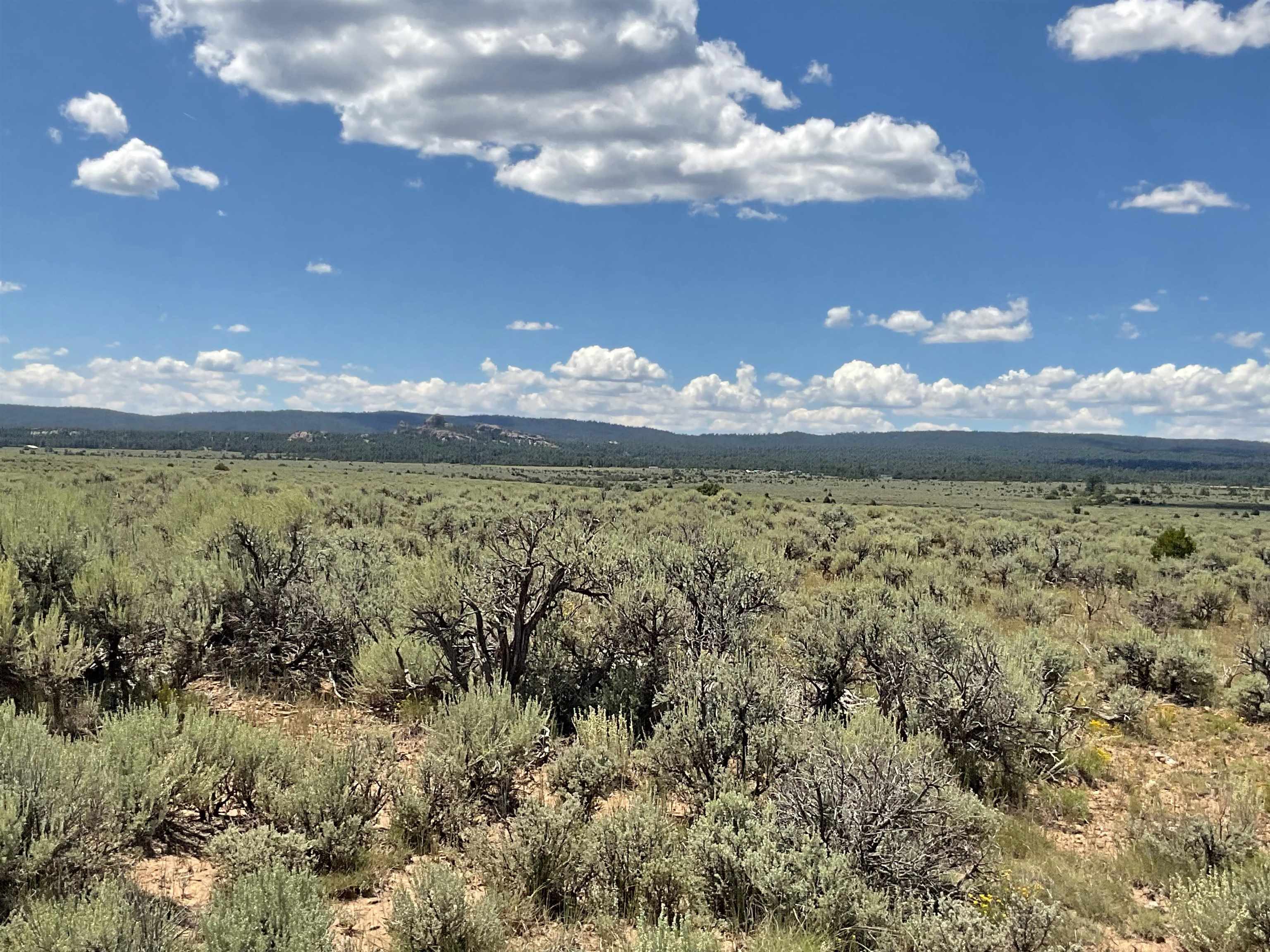 Off Hwy 285, Tres Piedras, New Mexico image 14