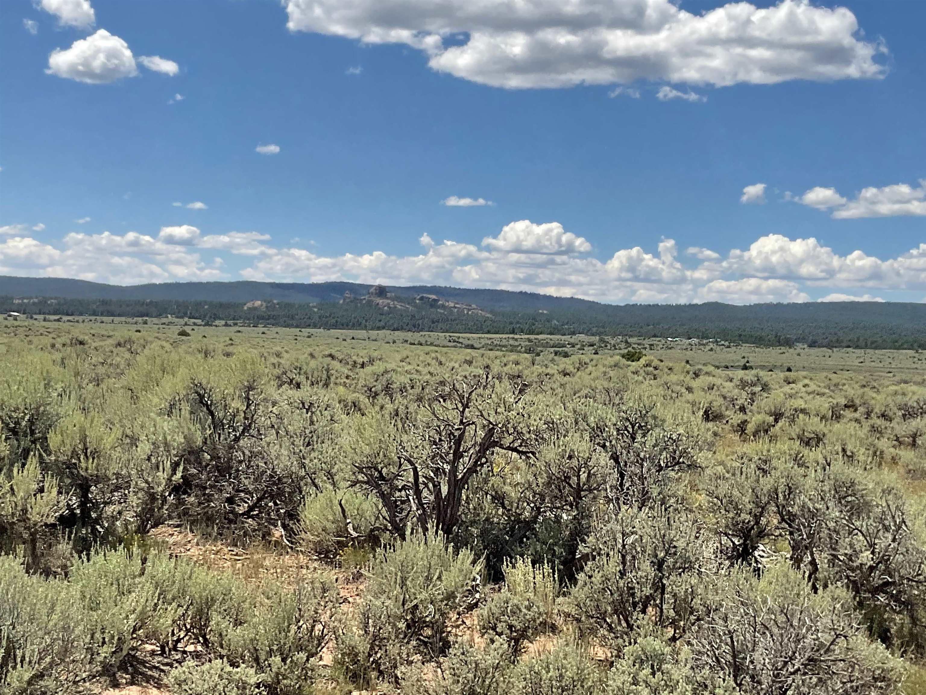 Off Hwy 285, Tres Piedras, New Mexico image 15