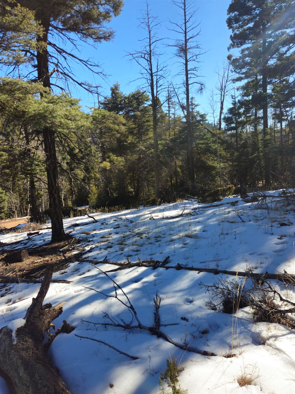 Photo of 357 vail Loop, Angel Fire, NM 87710 (MLS # 109899)