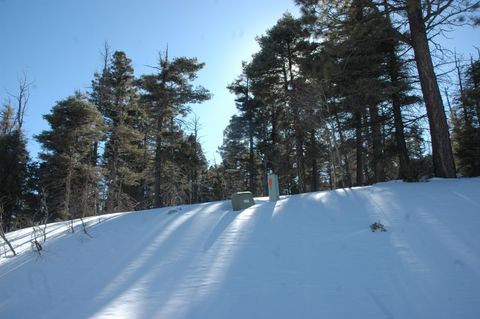 Photo of 357 vail Loop, Angel Fire, NM 87710 (MLS # 109899)