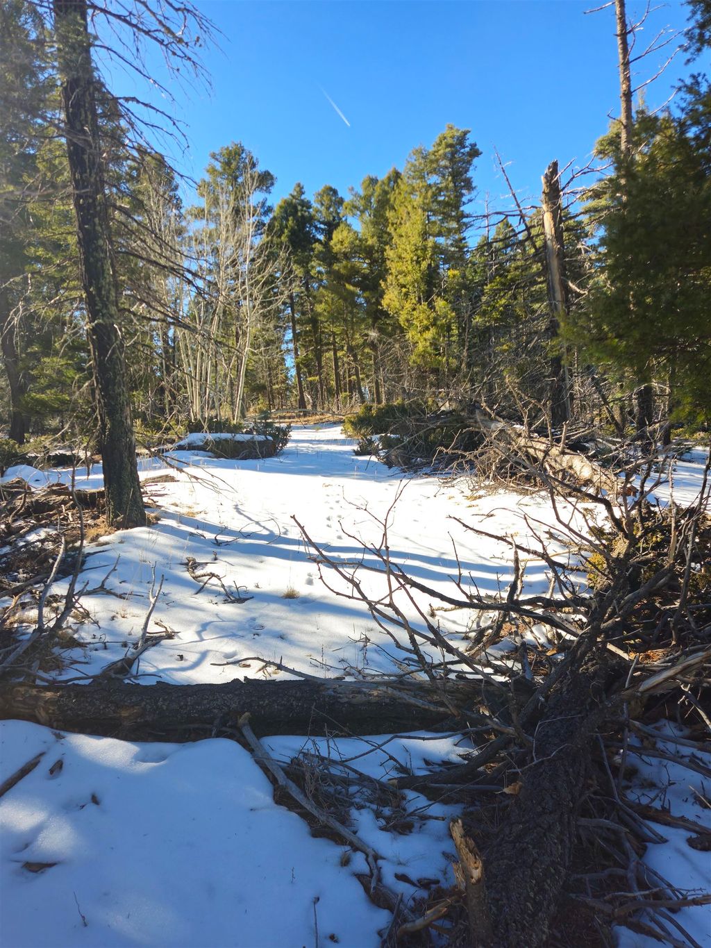 Photo of 357 vail Loop, Angel Fire, NM 87710 (MLS # 109899)