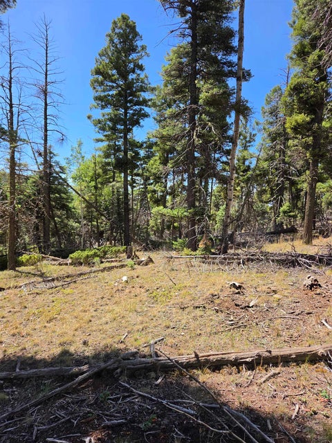 Vacant Land For Sale - 357 Vail Loop<br/> Angel Fire, NM 87710