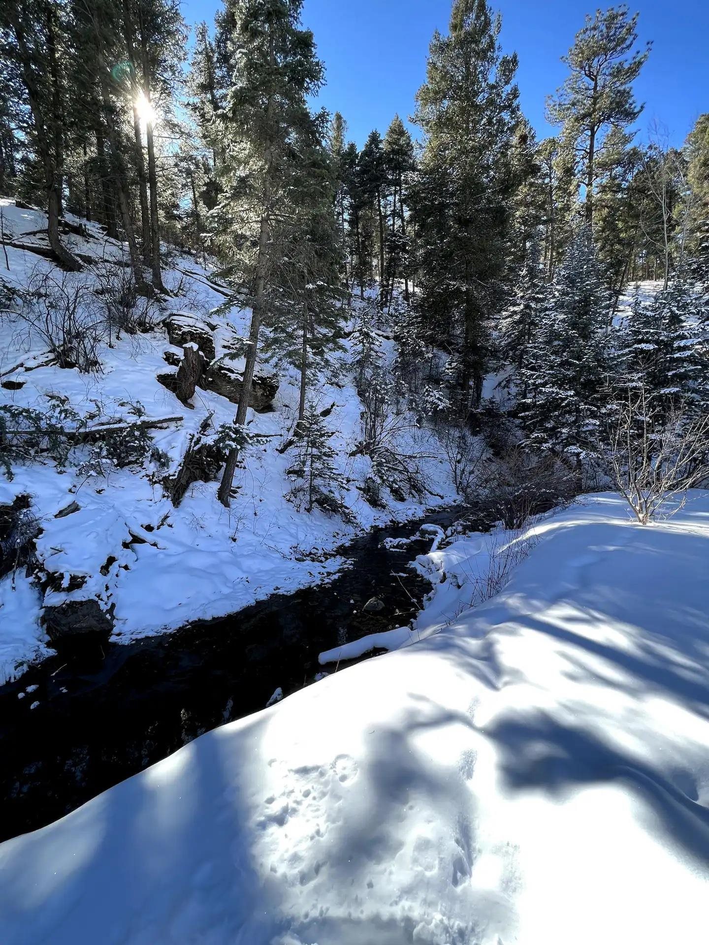 26078 Us Hwy 64, Taos, New Mexico image 49