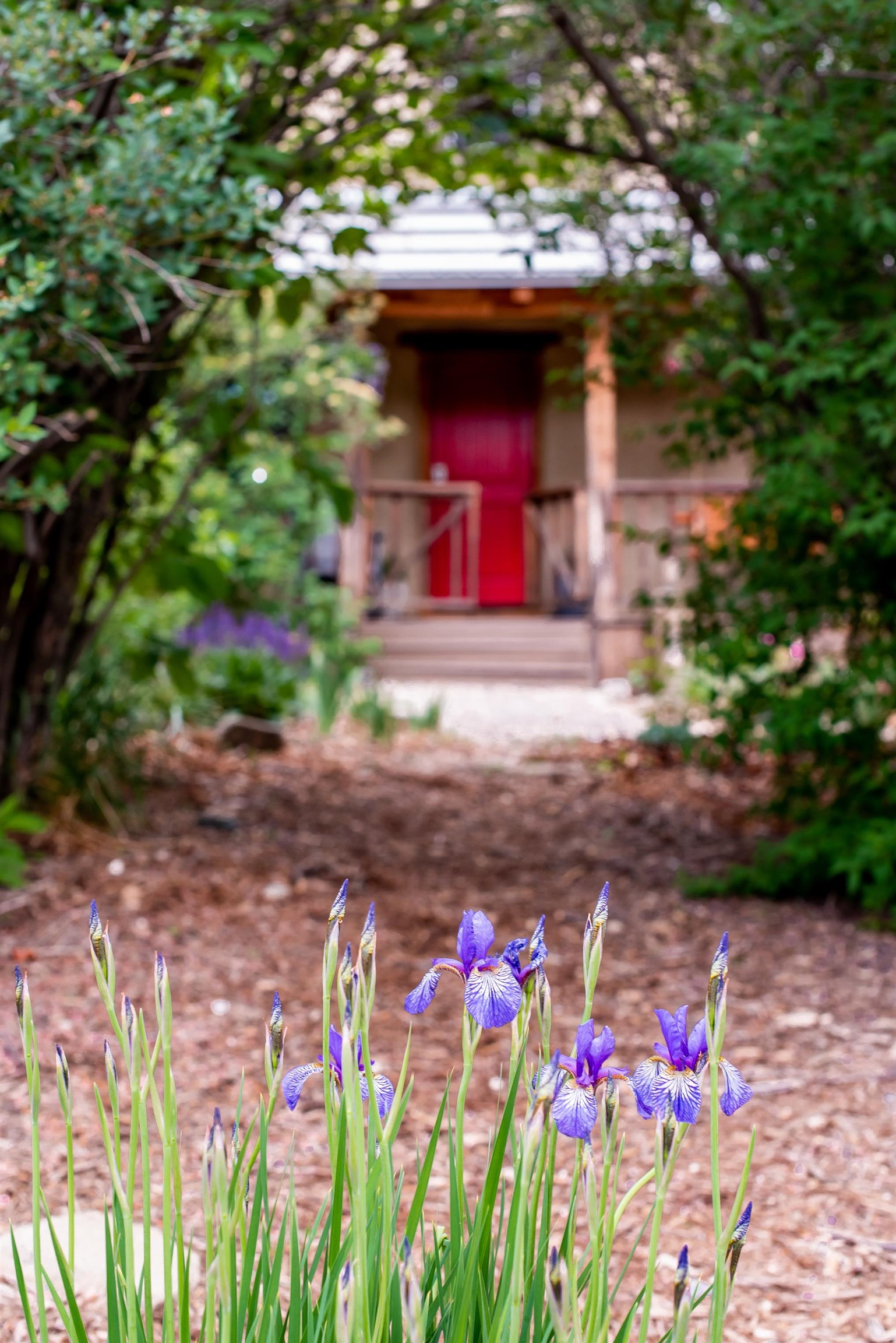 26078 Us Hwy 64, Taos, New Mexico image 46