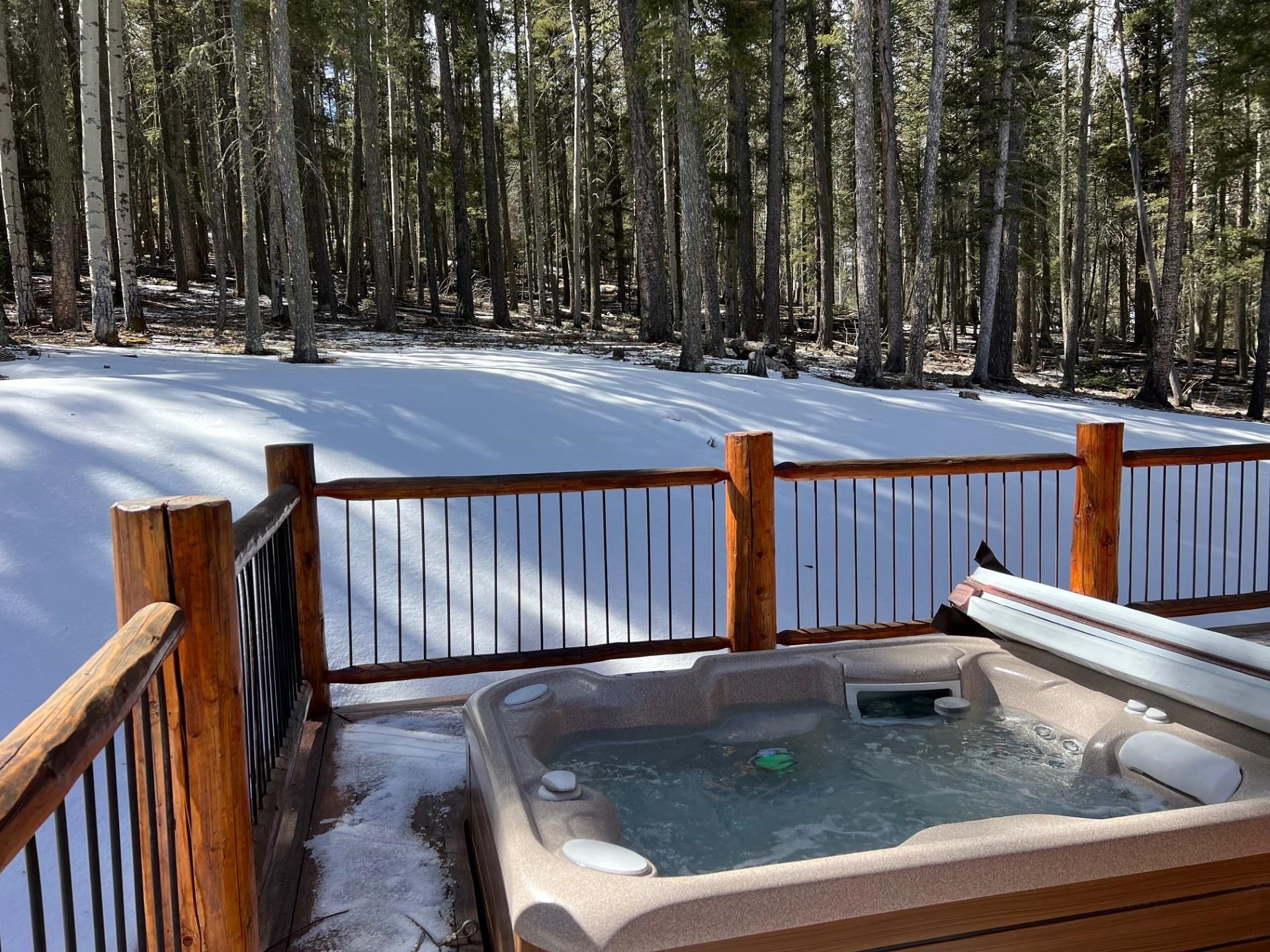 78 Santo Domingo Trail, Angel Fire, New Mexico image 50
