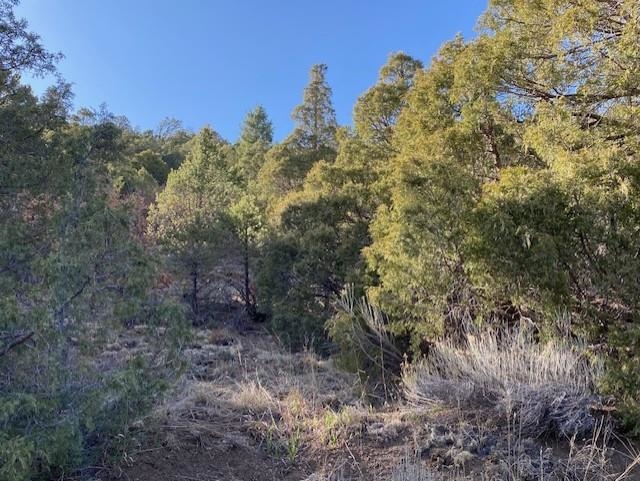 26439 Hwy 64 Sombra Del Oso Rd, Taos, New Mexico image 5