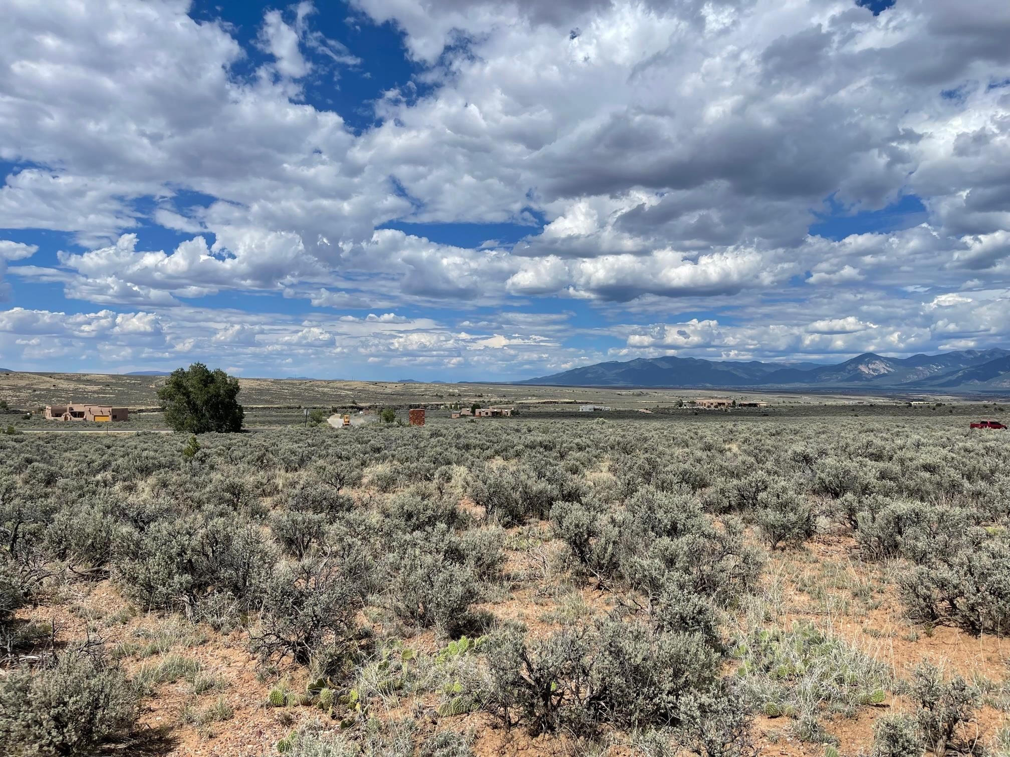 TBD Spirit Dog, Ranchos de Taos, New Mexico image 1