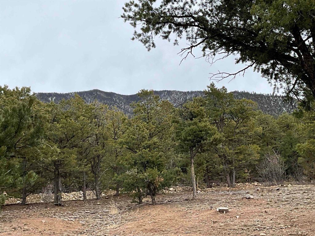 Photo of 21 Camino Refugio, Questa, NM 87556 (MLS # 114438)