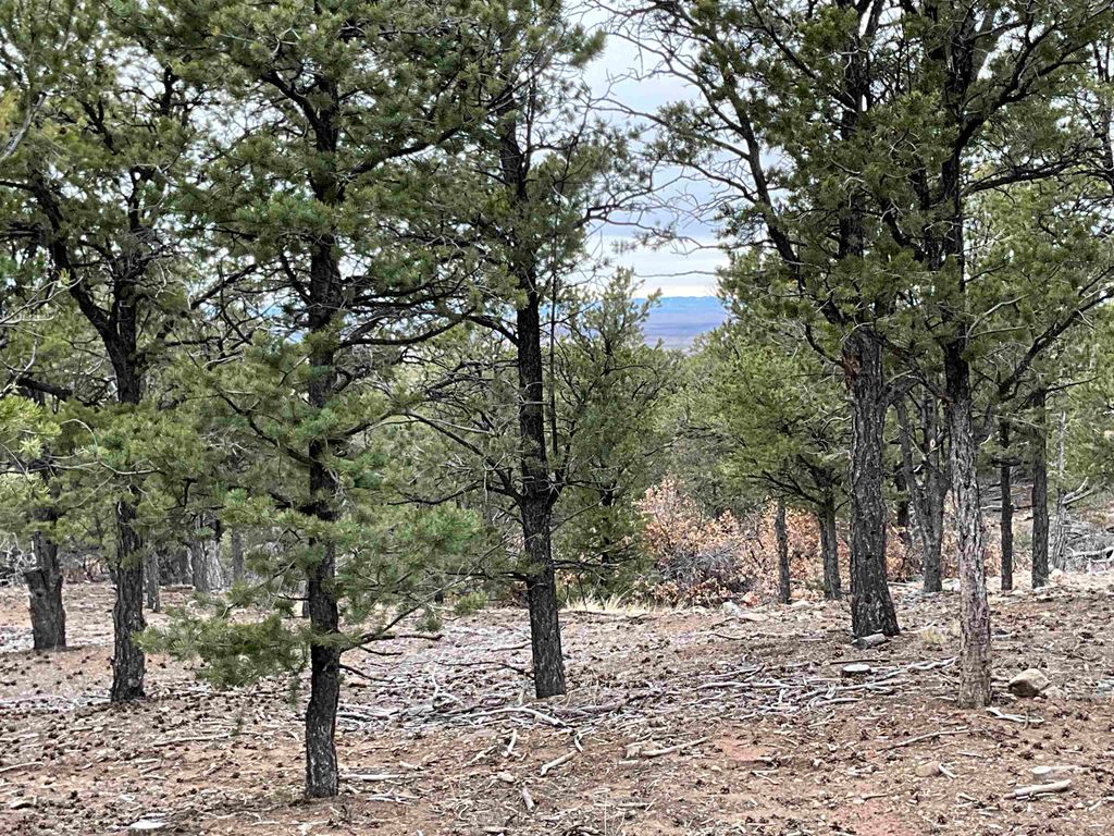 Photo of 21 Camino Refugio, Questa, NM 87556 (MLS # 114438)