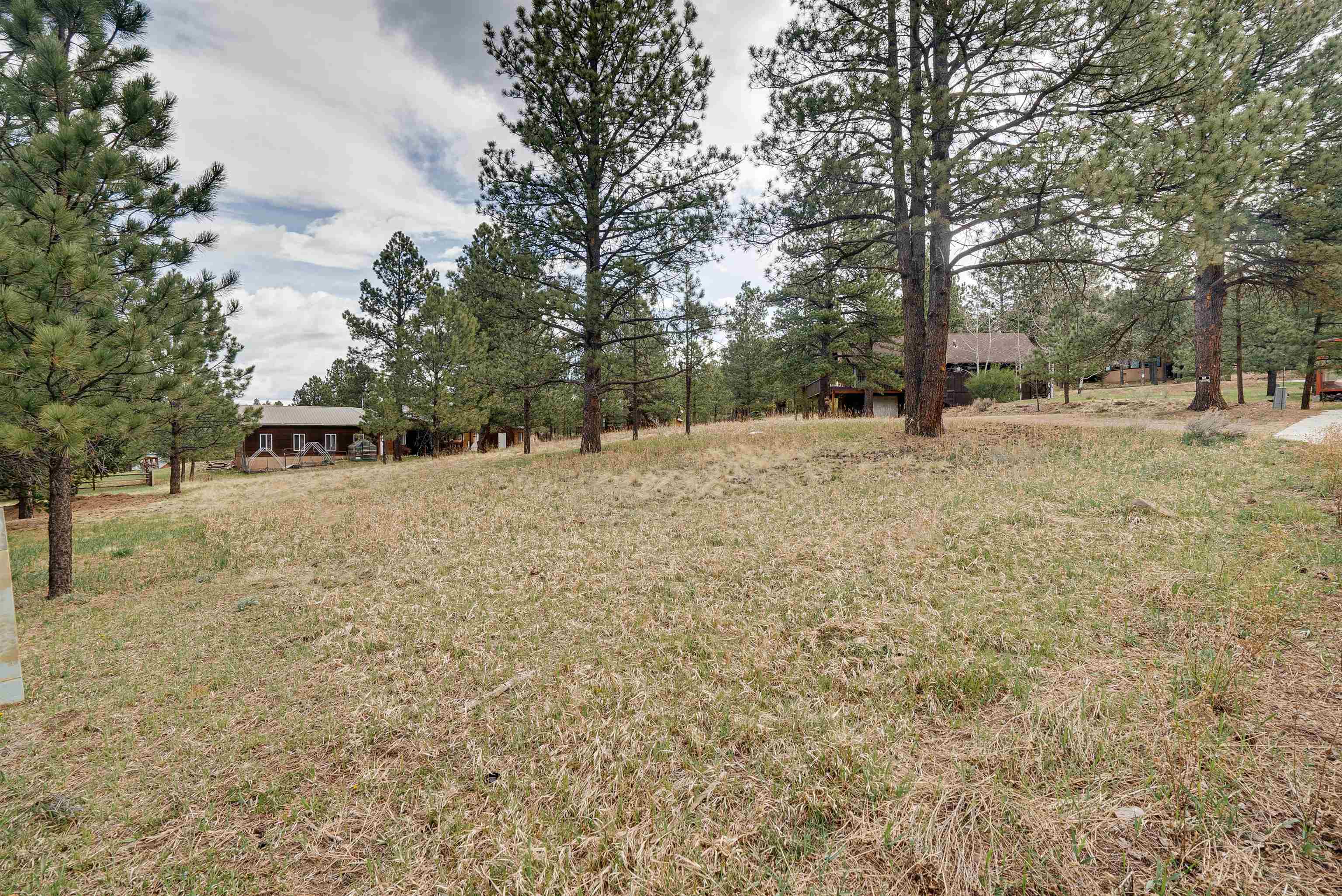 Lot 20 Mammoth Mountain Road, Angel Fire, New Mexico image 6